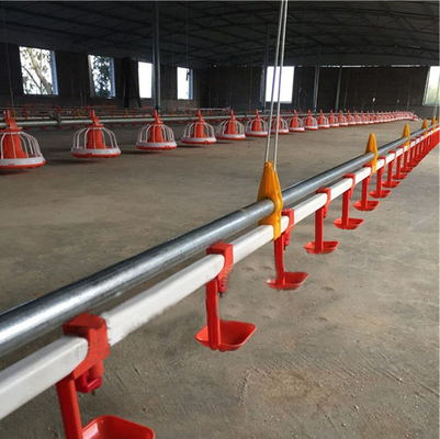Chicken Poultry Automatic Pan Feeding System Nipple Drinking Line