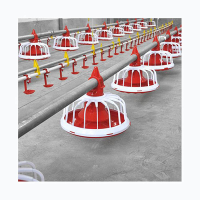 Chicken Poultry Automatic Pan Feeding System Nipple Drinking Line