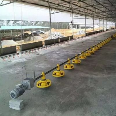 22ton 220V Auger Automatic Pan Feeding System Shed