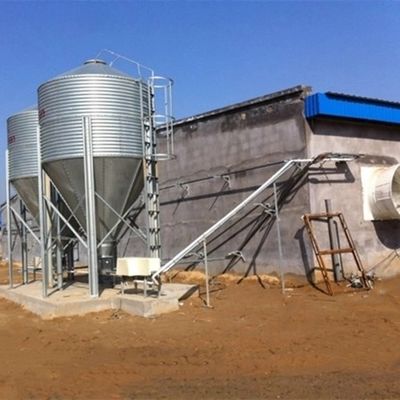 Chain Feeding System Chicken Breeding Equipment