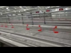 22x22mm Square Water Pipe Poultry Nipple Pipe from China Factory