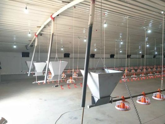 Chaîne Pan Feeding System automatique de ferme de poulet 1 phase